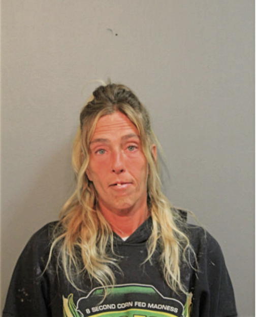 KIMBERLY D LEE, Cook County, Illinois