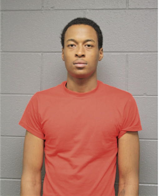 MICHAEL A LEE, Cook County, Illinois
