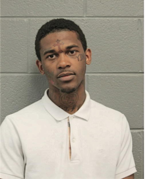 TION T LEWIS, Cook County, Illinois