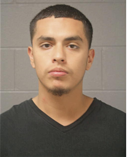 NOE LOPEZ, Cook County, Illinois