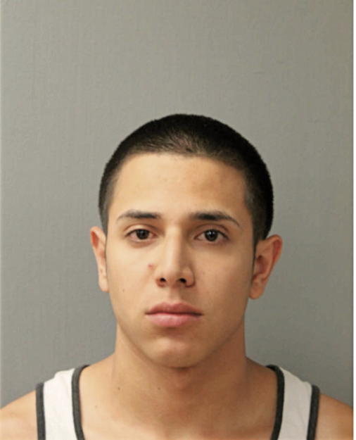 LUIS E MACCHADO, Cook County, Illinois