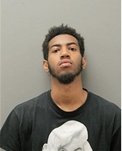 YOCHANAN R NESBITT, Cook County, Illinois