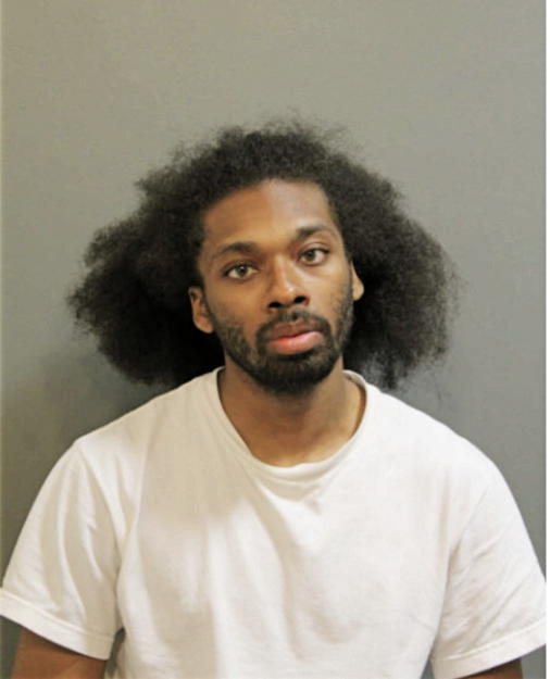 DAMIEN V ROBINSON, Cook County, Illinois