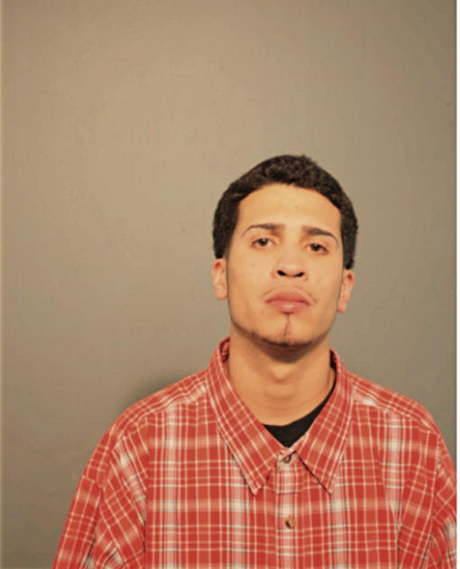ELVIS ROMAN, Cook County, Illinois