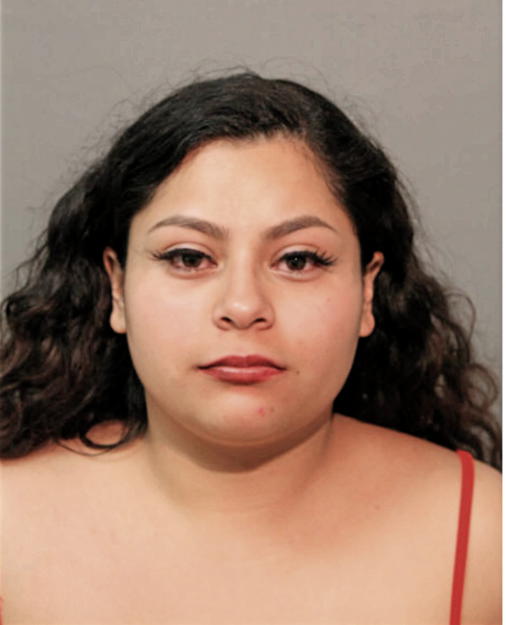 KAREN S VALENCIA, Cook County, Illinois