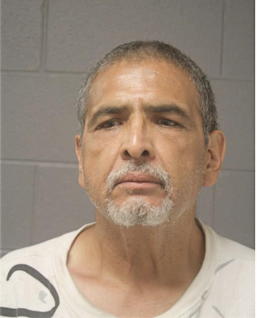 JOSE M VERDUZCO, Cook County, Illinois