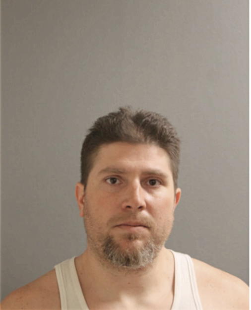 JUSTIN P WELLES, Cook County, Illinois