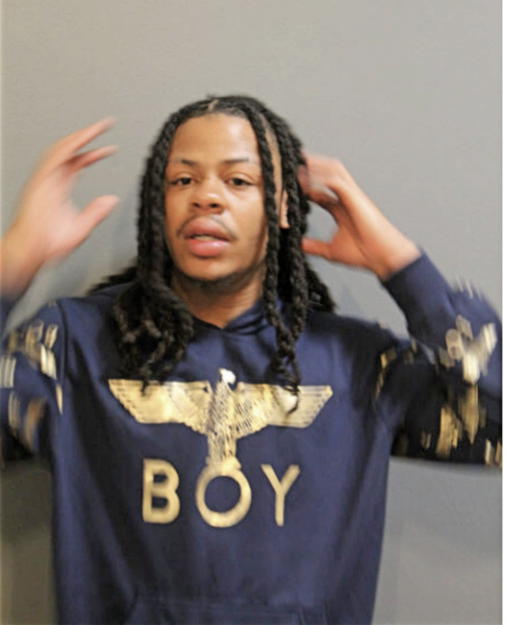 DIANTHONY D WHITNEY, Cook County, Illinois