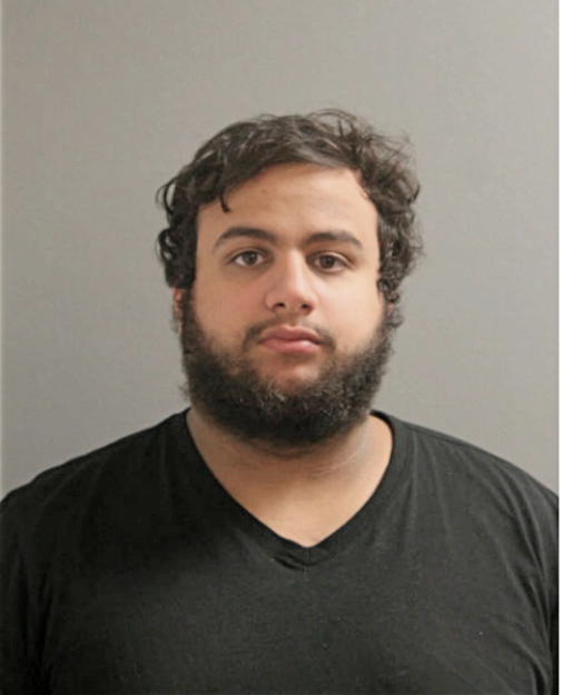 ALI HUSSEIN ALSALAHI, Cook County, Illinois