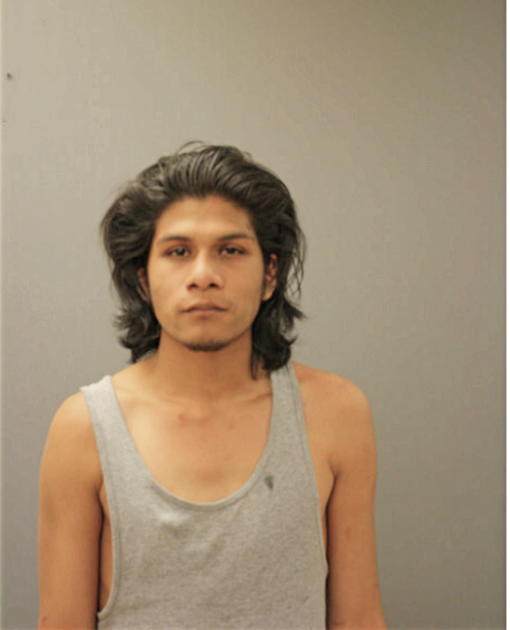 ERIC BAHENA, Cook County, Illinois