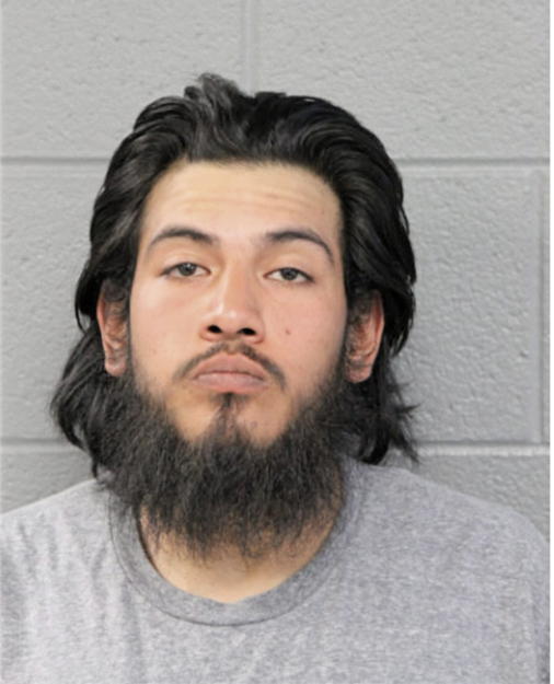 BRANDON G CASTILLO, Cook County, Illinois