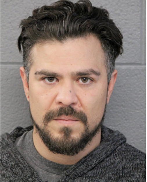 ROBERT S CHAVEZ, Cook County, Illinois