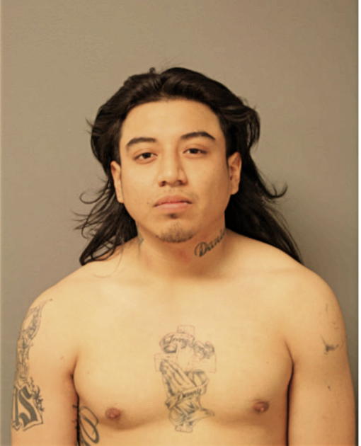 BRIAN S ENRIQUEZ, Cook County, Illinois