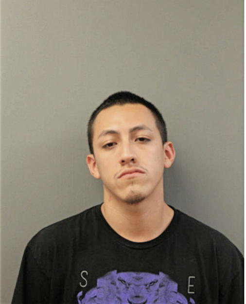 JESSE E FLORES, Cook County, Illinois