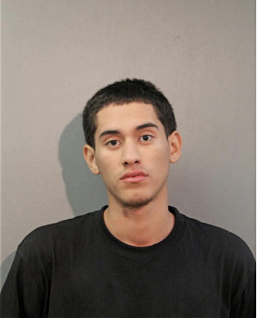 CHRISTOPHER GALEANA, Cook County, Illinois