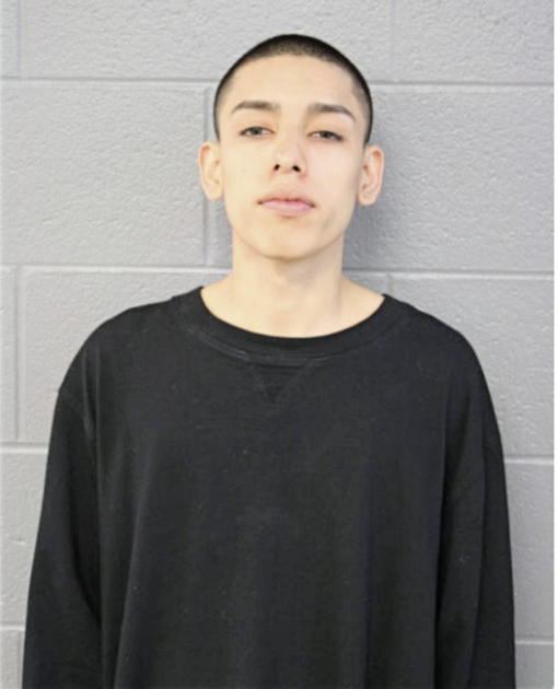 JESSIE GALLEGOS, Cook County, Illinois
