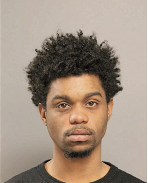 JAVONTE D HAYWOOD, Cook County, Illinois