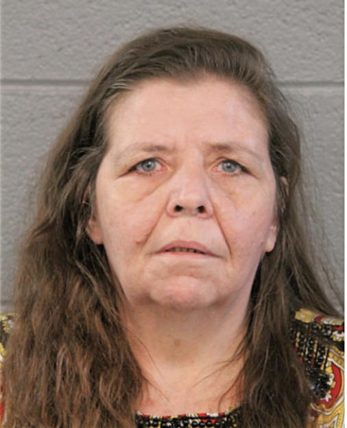 PAULA J LESTER, Cook County, Illinois