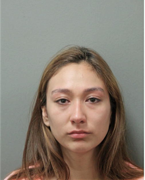 ARLEN F LLAMAS, Cook County, Illinois