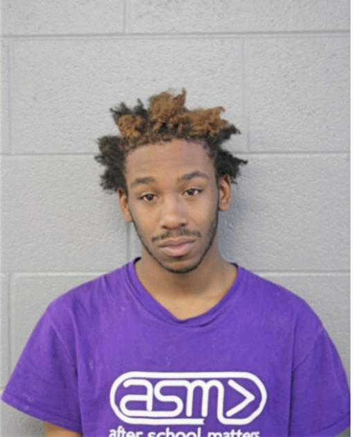 TIMOTHY M MAIDEN, Cook County, Illinois