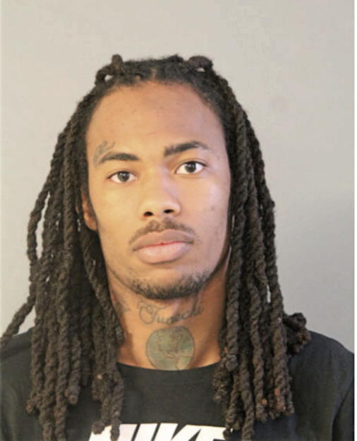 RODNEY L NOEL, Cook County, Illinois