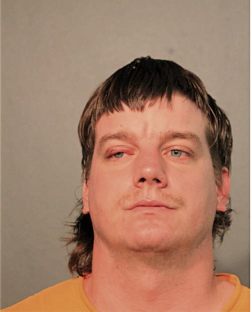 ANDREW R PAULI, Cook County, Illinois