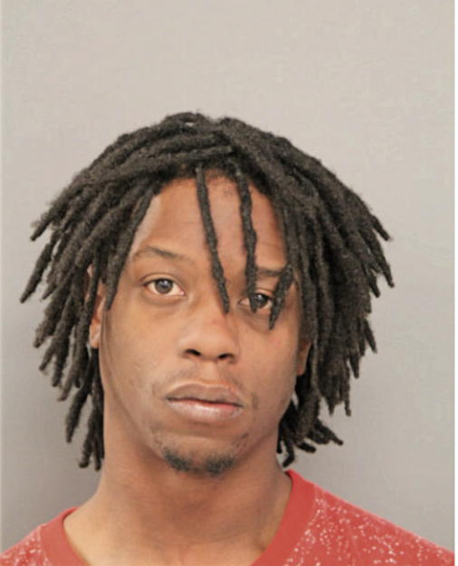 PARIS REESE, Cook County, Illinois