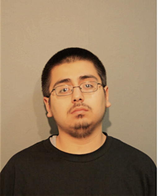 LUIS J RIVERA, Cook County, Illinois