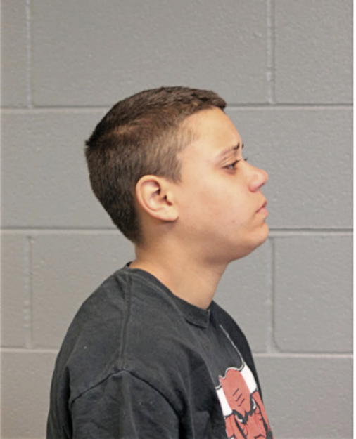 MELLISA M ROSINSKI, Cook County, Illinois