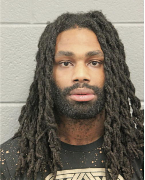 ANTHONY S STEEL, Cook County, Illinois