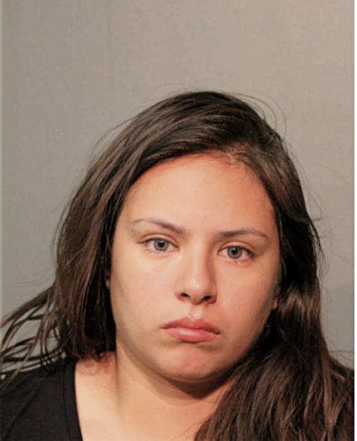 ERIKA VILLA-ORTEGA, Cook County, Illinois