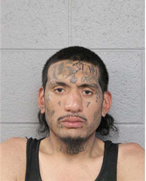 CESAR H ANDERSON, Cook County, Illinois