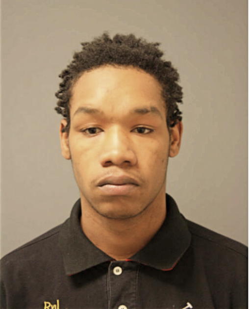 DAVID L ANDERSON, Cook County, Illinois