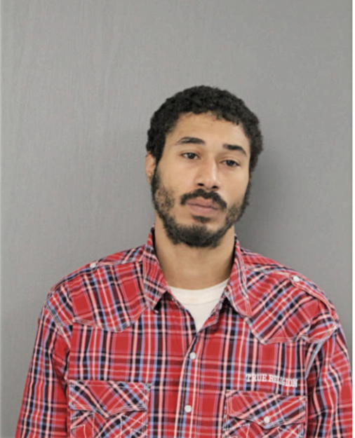 TYRONE S ANDERSON, Cook County, Illinois