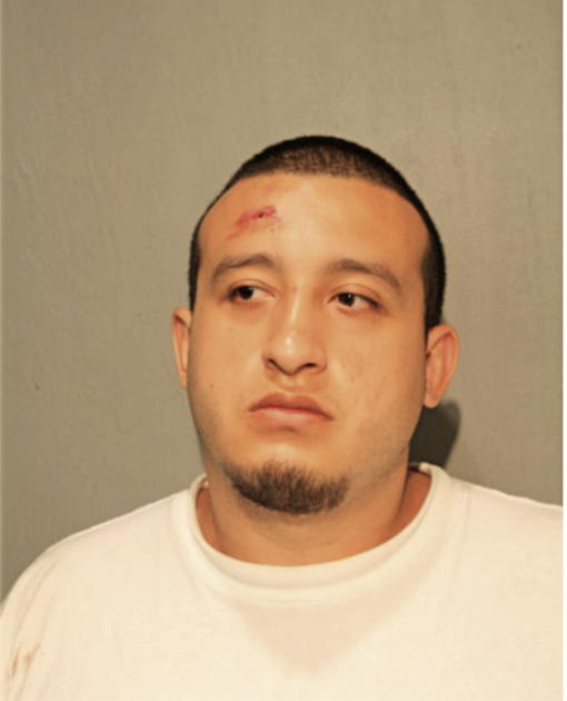 CARLOS ANDRADE, Cook County, Illinois