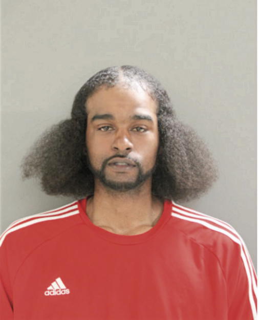 AARON N BUSSELL, Cook County, Illinois
