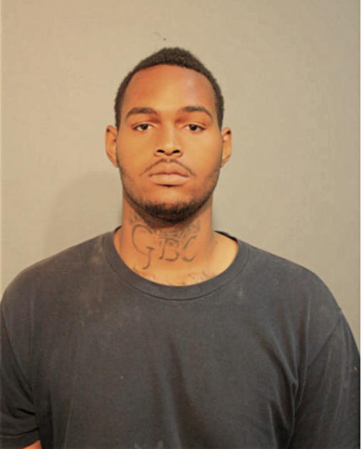 DERRICK D BUTLER, Cook County, Illinois
