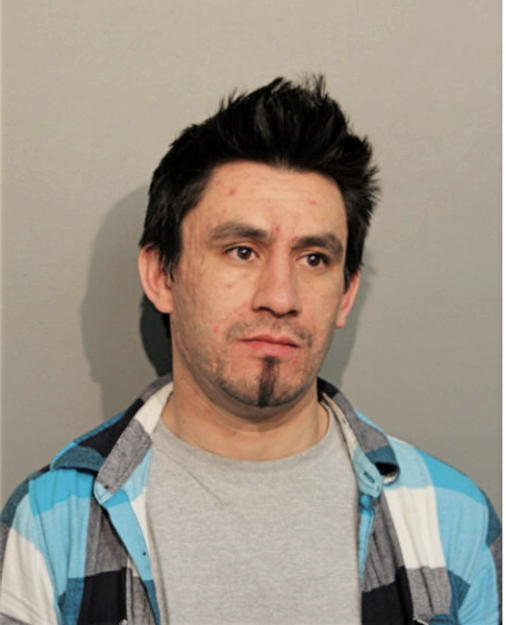 JAMIL A CAMPOVERDE, Cook County, Illinois