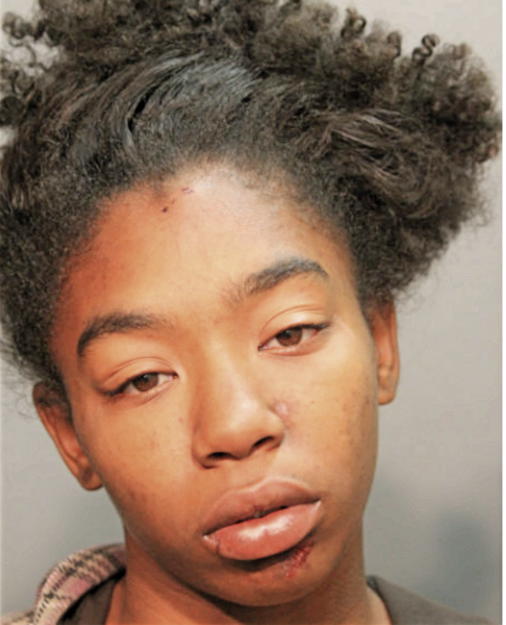 BRITANY M CUEVAS, Cook County, Illinois