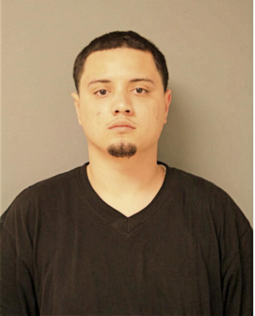 ROGELIO GARCIA, Cook County, Illinois