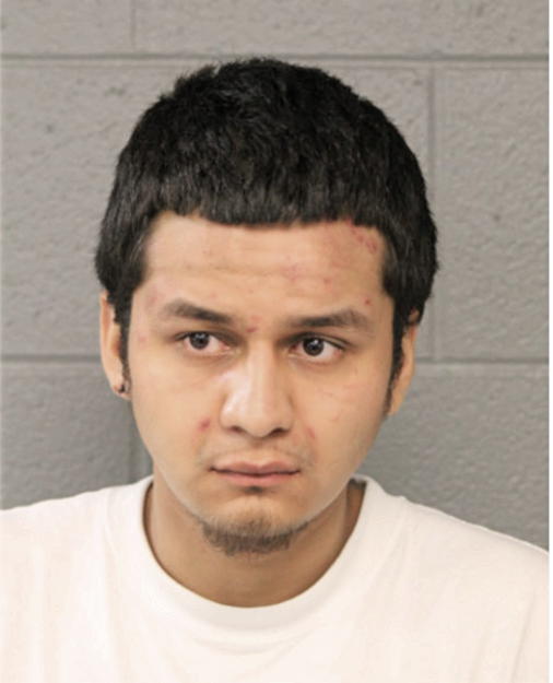 LUIS F HERNANDEZ, Cook County, Illinois