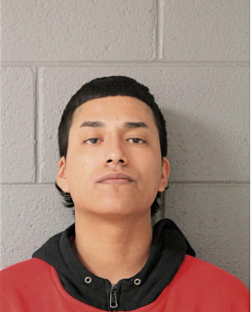 CHRISTOPHER U LAGUNES, Cook County, Illinois