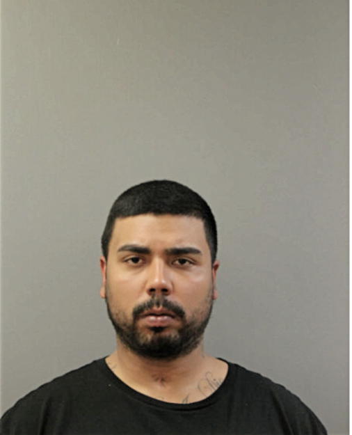 ANTHONY O LORENZI, Cook County, Illinois