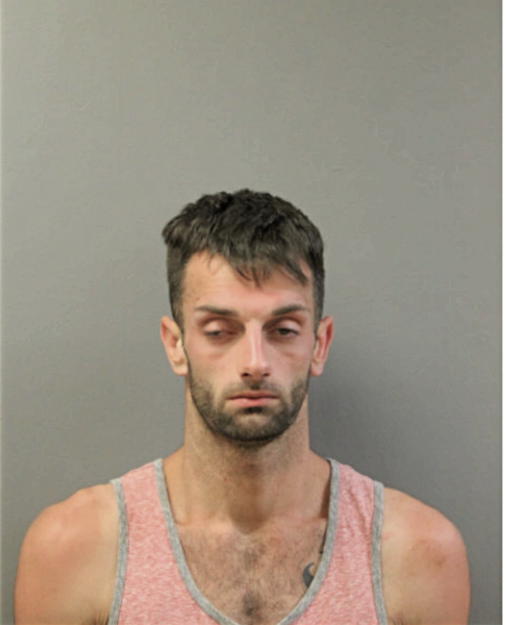 DANIEL M GAERTNER, Cook County, Illinois