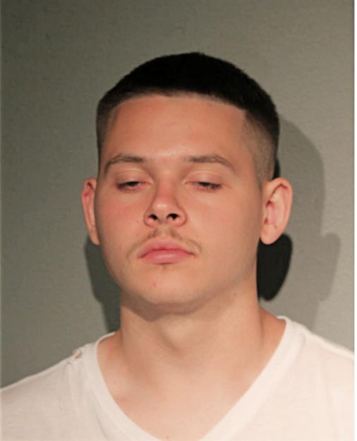 MATTHEW M MELLAS, Cook County, Illinois