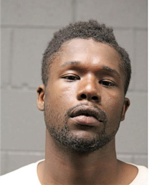 JAMES L MEYERS, Cook County, Illinois