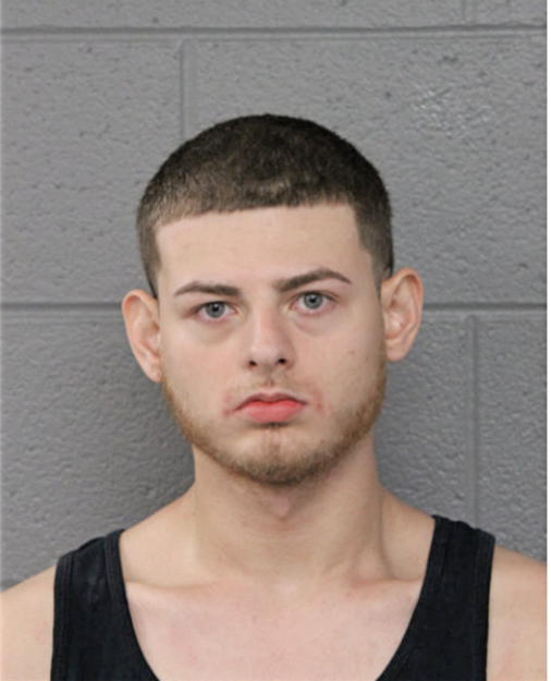 JOHN R OGDEN, Cook County, Illinois