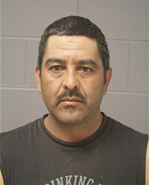 ANDRES RUANO, Cook County, Illinois