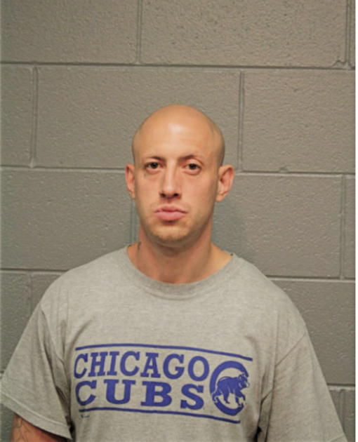 WILLIAM R RYZNER, Cook County, Illinois