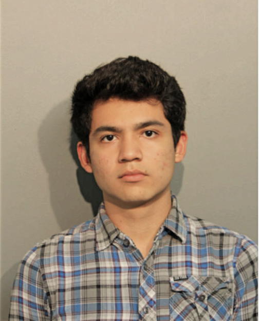 CHRISTIAN A SANCHEZ, Cook County, Illinois